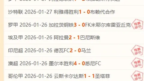 切尔西2025英超积分最低球队揭晓！