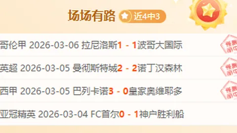 町田泽维亚主场分析：专家推荐大乐透期号策略