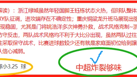 揭秘维尔茨成长之路：他是下一个皮雷？只需时间、空间与信任的滋养！